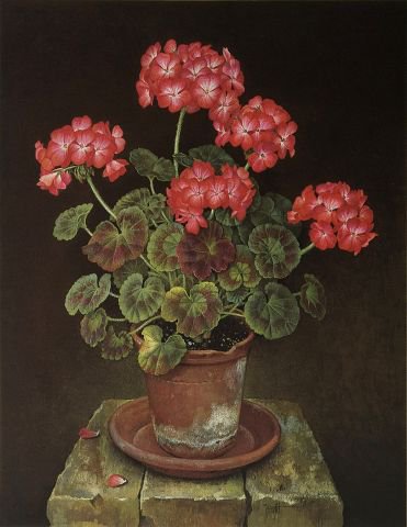 цветы в горшке - цветы - оригинал