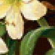 Предпросмотр схемы вышивки «цветы в горшке» (№321642)