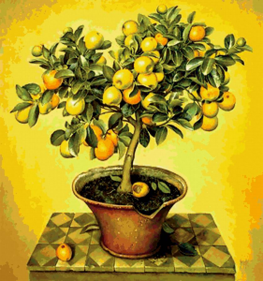 фруктовое дерево - дерево - предпросмотр