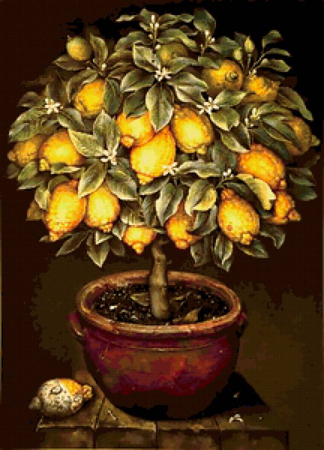 фруктовое дерево - дерево - предпросмотр