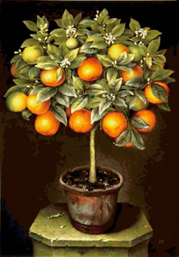 фруктовое дерево - дерево - предпросмотр