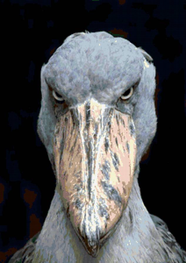 Ура, девочки я Вас поздравляю - вебмастер - предпросмотр