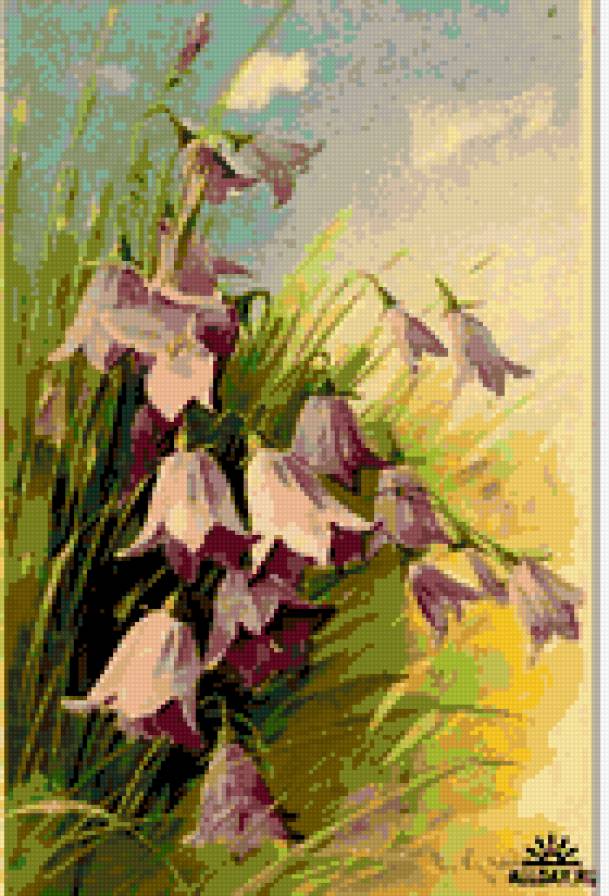 цветы - предпросмотр