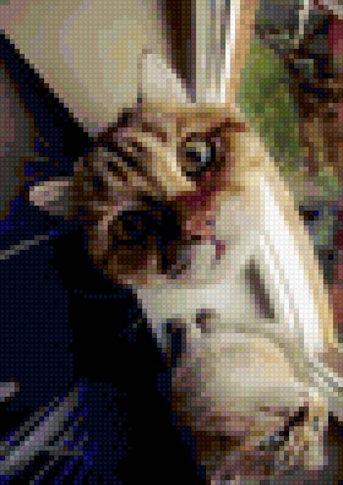 Котейка - кошка, окошко, взгляд - предпросмотр