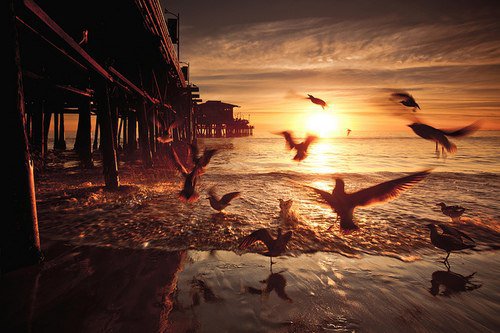 №321836 - природа - оригинал