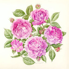 Схема вышивки «Нежные розы»