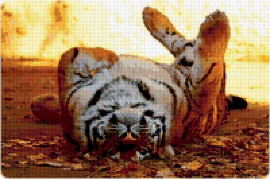 №321855 - животные - предпросмотр