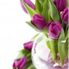 Схема вышивки «№321856»