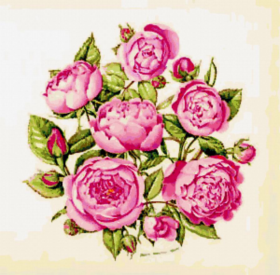 Нежные розы - роза, нежные розы, душистые розы, панно, розы, подушка - предпросмотр