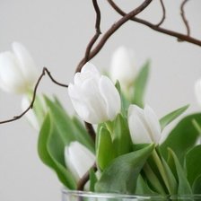 Схема вышивки «№321865»