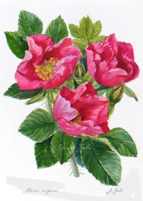 Розы - душистые розы, нежные розы, роза, розы, панно, флора - оригинал