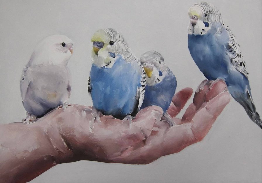 Попугаи - птицы, рука, попугаи - оригинал