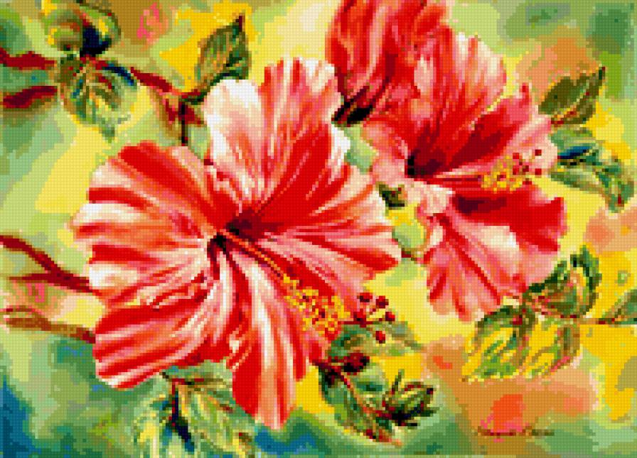 Гибискус - цветы, природа, лепестки, флора.гибискус - предпросмотр