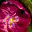Предпросмотр схемы вышивки «Букет тюльпанов» (№322064)