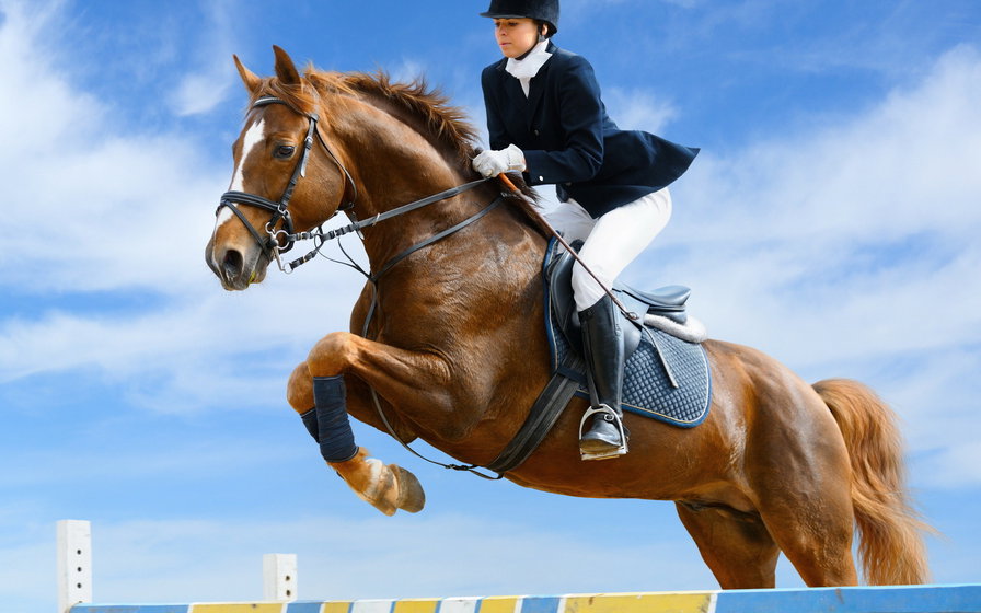 прыжок - конь, лошади, конный спорт, конкур - оригинал