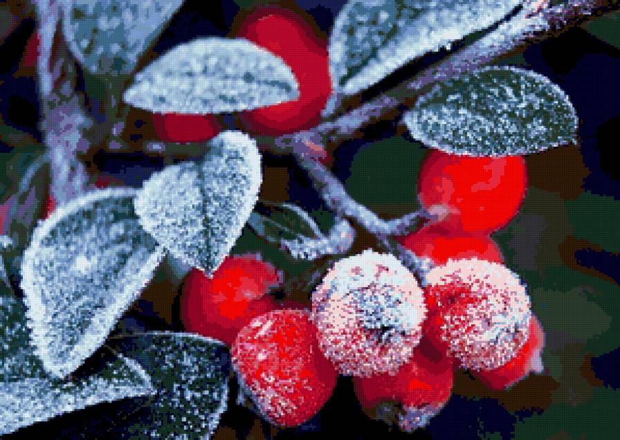 ягодки - картина - предпросмотр