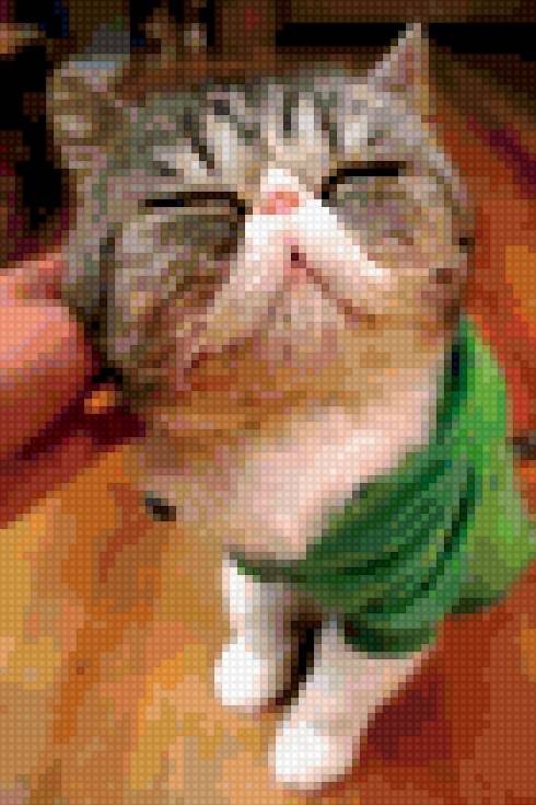 Котейка - кошка - предпросмотр