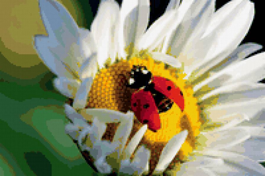 ромашка и букашка - предпросмотр