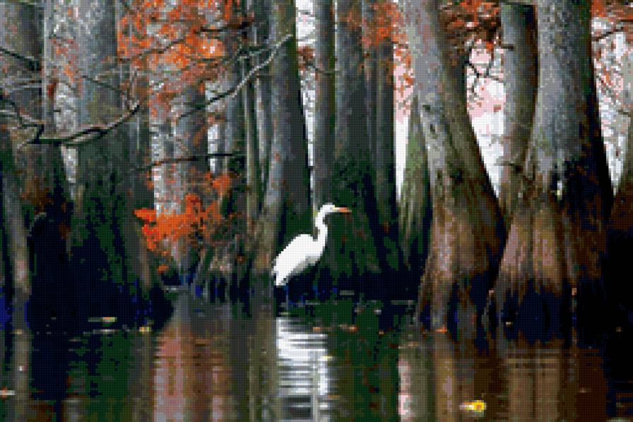 №322562 - природа, вода - предпросмотр