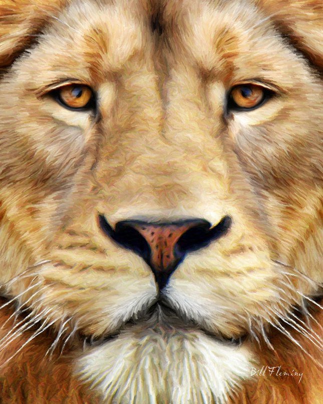 лев - лев, животные - оригинал