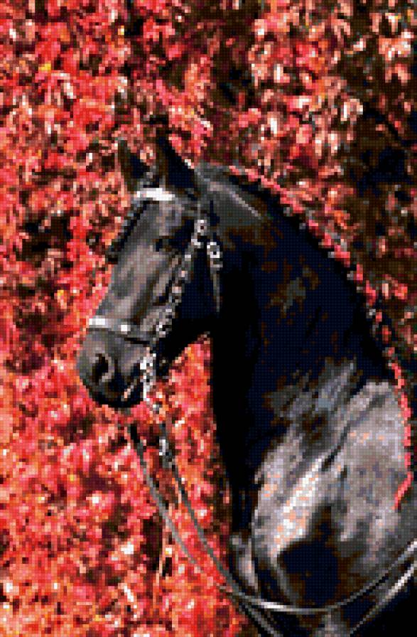 №322648 - лошади - предпросмотр