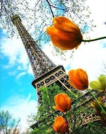 париж - разное - оригинал