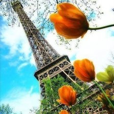 Схема вышивки «париж»