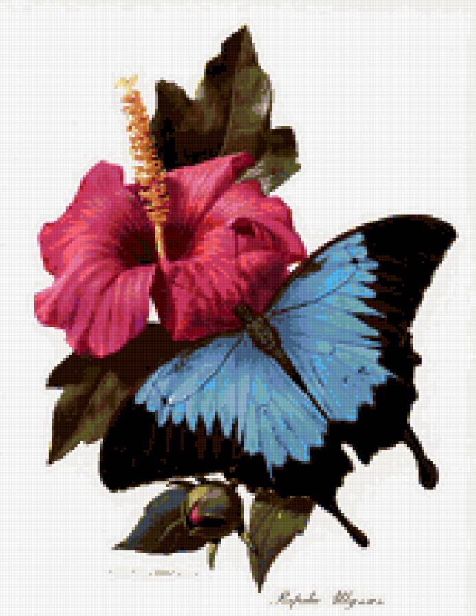 бабочка - волшебный мир - предпросмотр