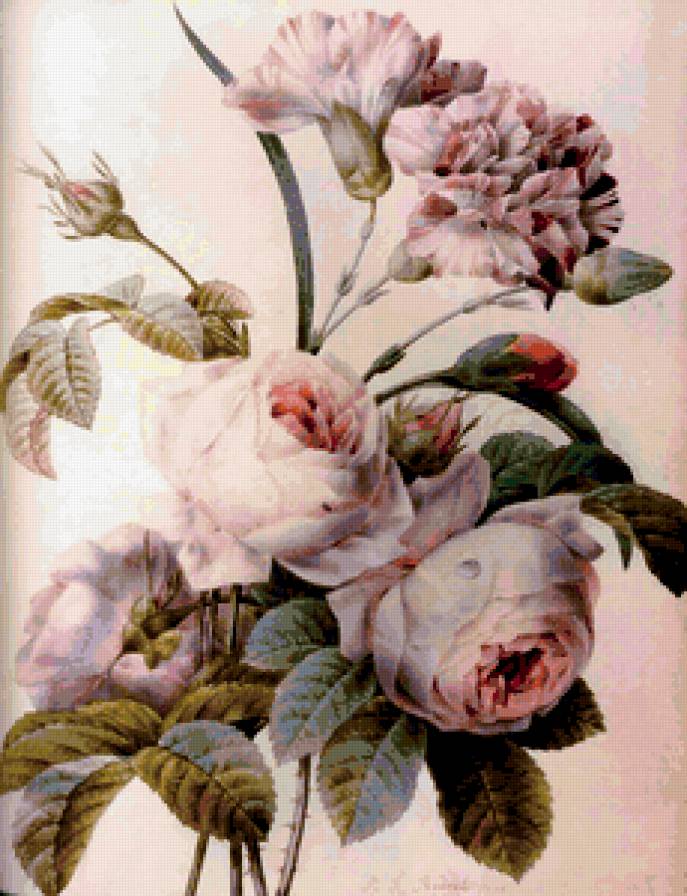 красота - цветы - предпросмотр