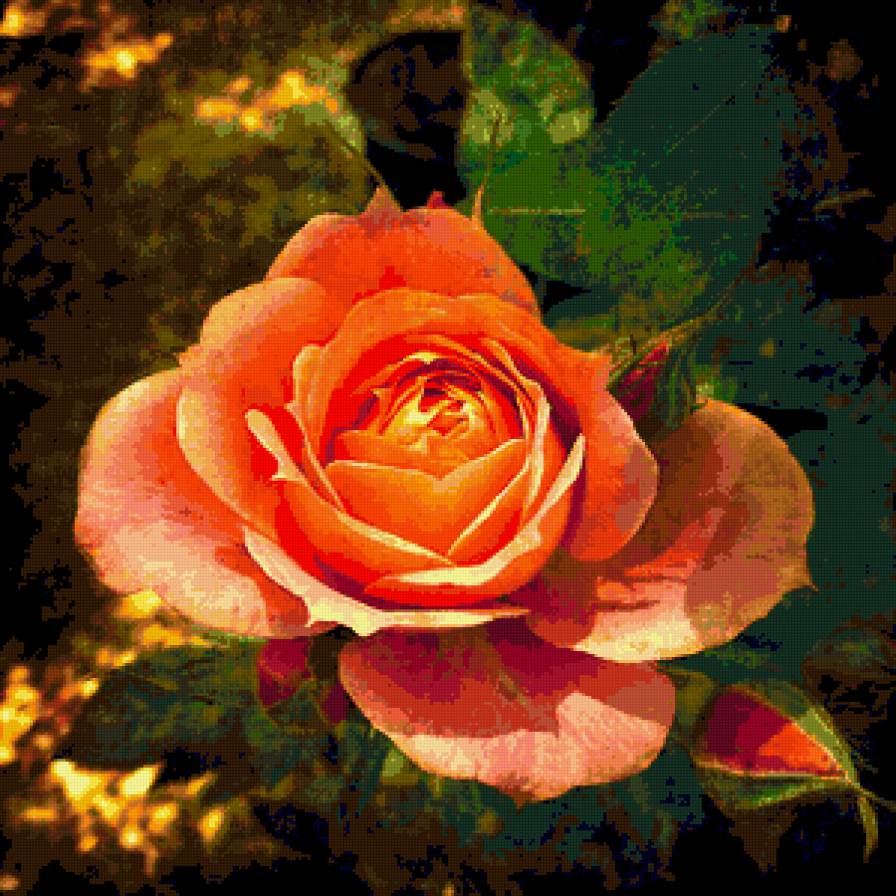 роза - роза, цветок, розы, цветы - предпросмотр