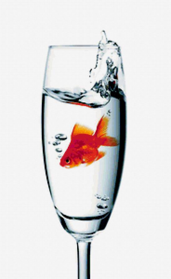 рыбка в бокале - бокал, золотая рыбка, рыбка - предпросмотр