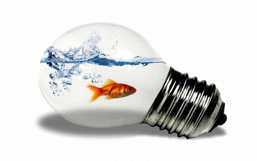 золотая рыбка - рыбка, лампочка - оригинал