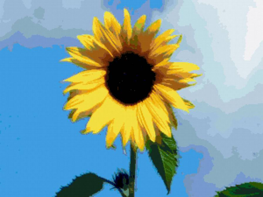 подсолнух - подсолнухи, цветы, цветок - предпросмотр