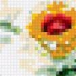 Предпросмотр схемы вышивки «Пионы» (№323133)