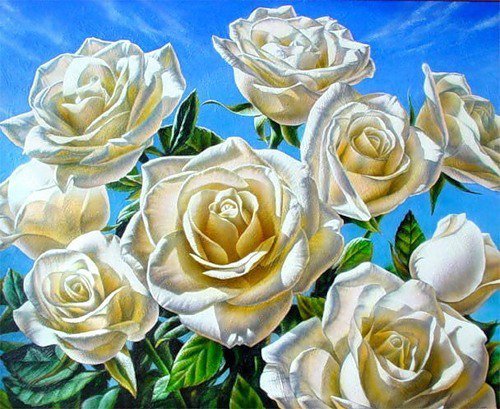 Белая роза - природа, флора.белые цветы.розы, цветы, лепестки - оригинал