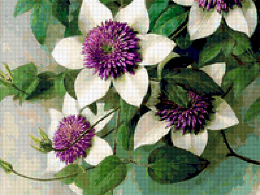 Белые цветы - цветы, лепестки, природа, флора.белые цветы - предпросмотр