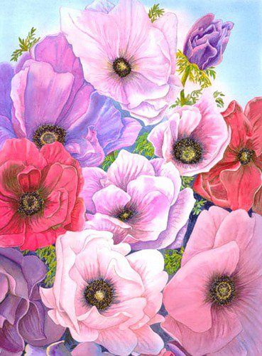 Анемоны - флора.анемоны, лепестки, природа, цветы - оригинал