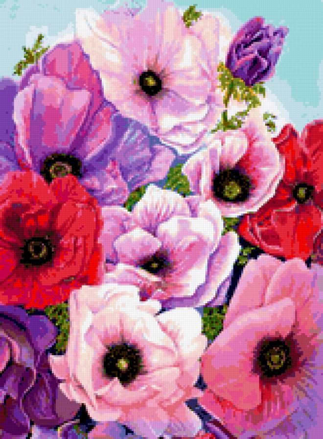 Анемоны - лепестки, природа, цветы, флора.анемоны - предпросмотр