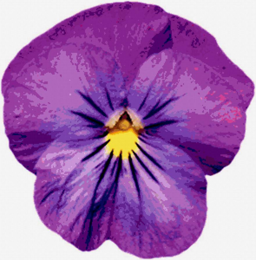 подушка "Анютины глазки" - цветы, подушка, фиалки - предпросмотр