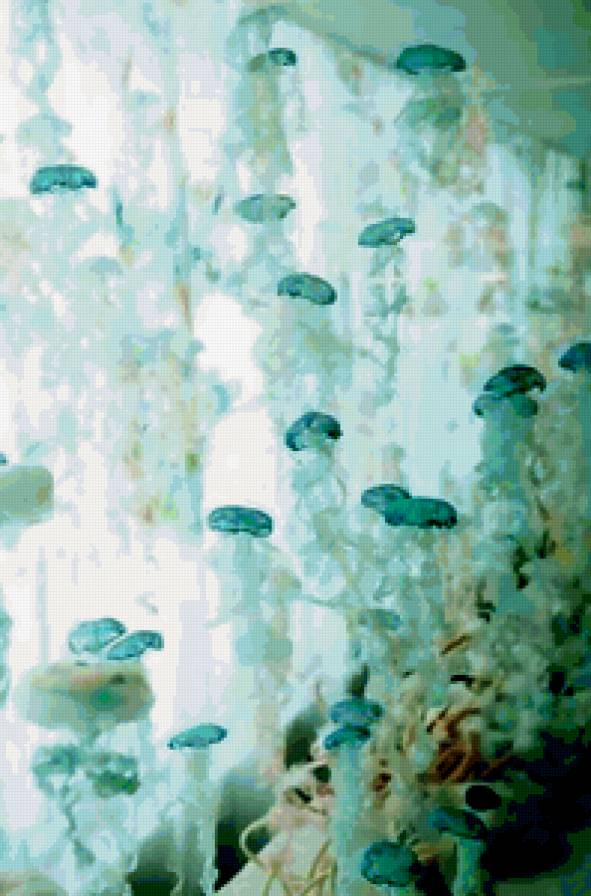 Водное царство - медузы, море - предпросмотр