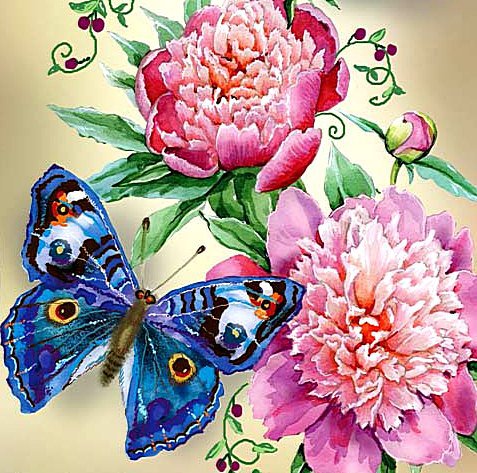 Бабочка и пионы - бабочка, пионы - оригинал