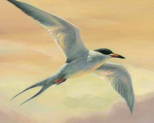 №323364 - оригинал