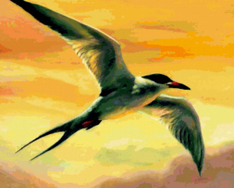 №323364 - предпросмотр