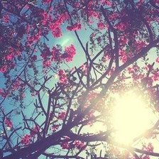 Схема вышивки «Весна»