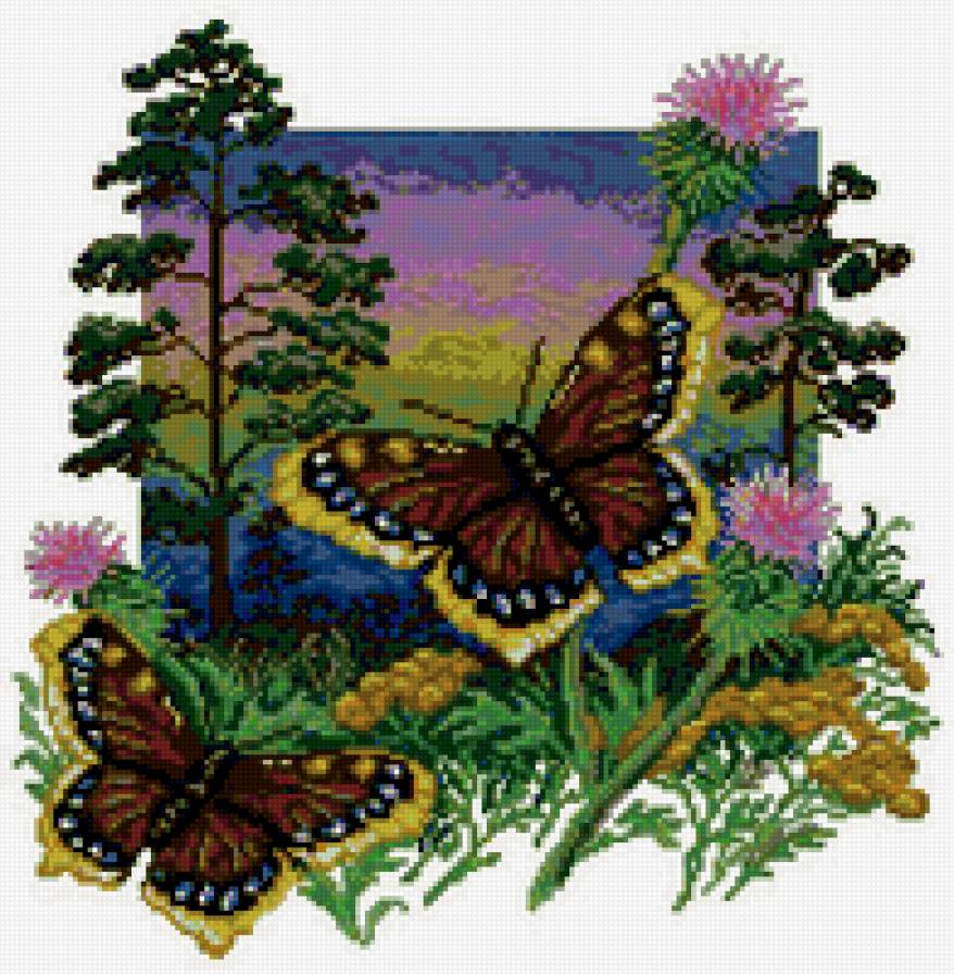 Бабочки - природа, бабочки - предпросмотр