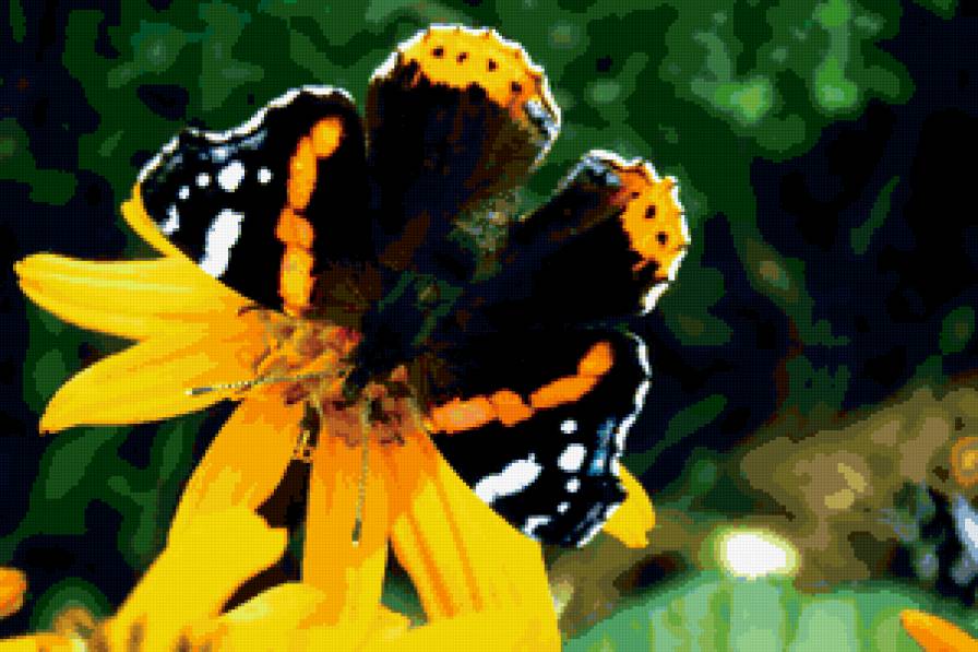 БАБОЧКА 7 - бабочки - предпросмотр