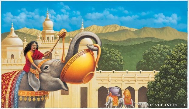 №323485 - оригинал