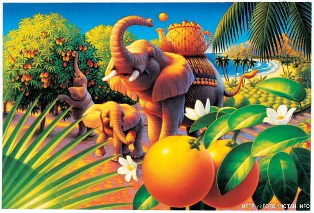 №323489 - оригинал