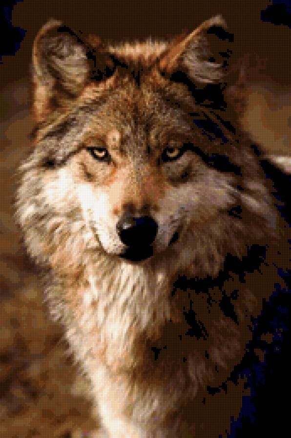 №323579 - предпросмотр