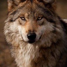 Схема вышивки «№323579»